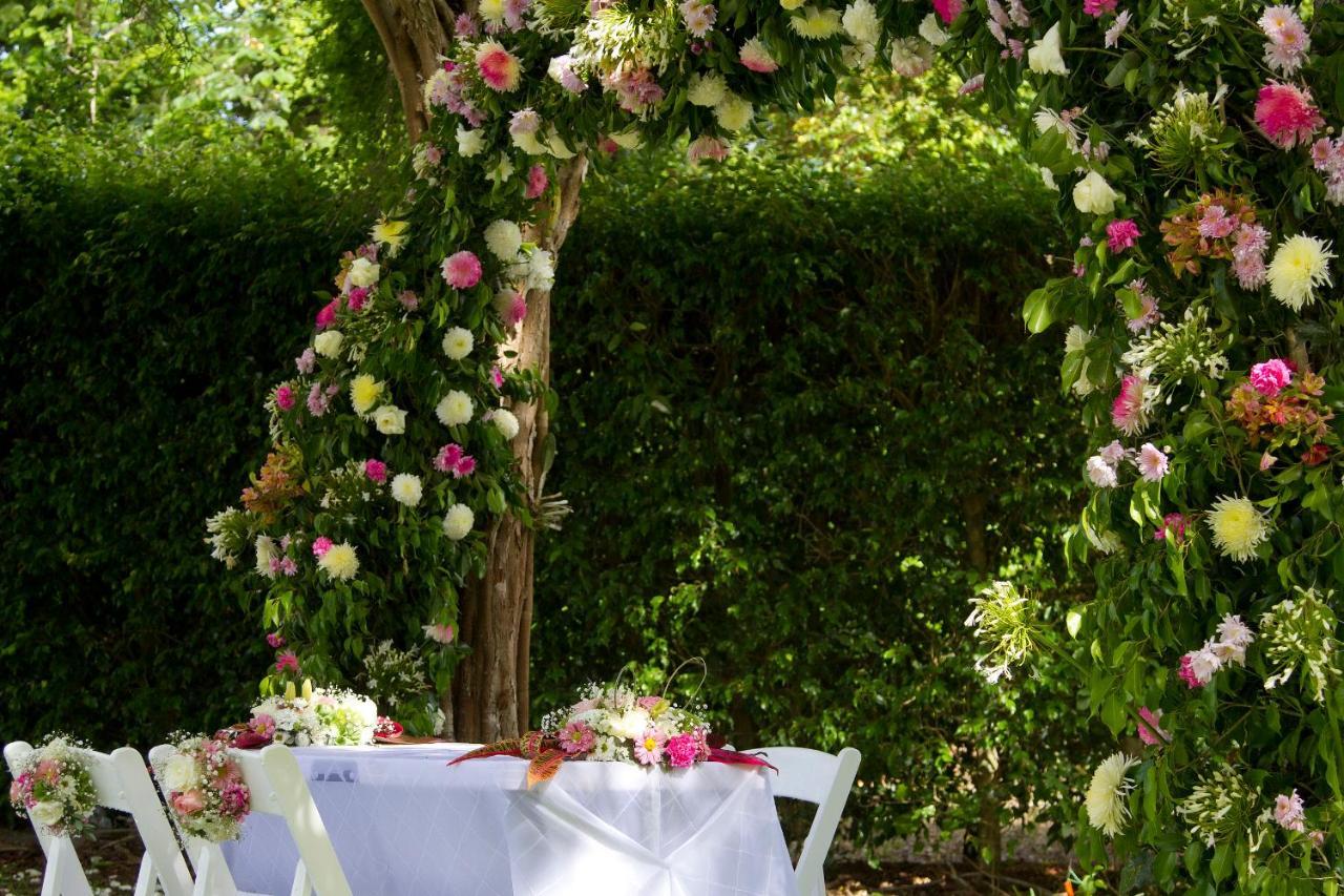 Hotel Villas Chicanna מראה חיצוני תמונה