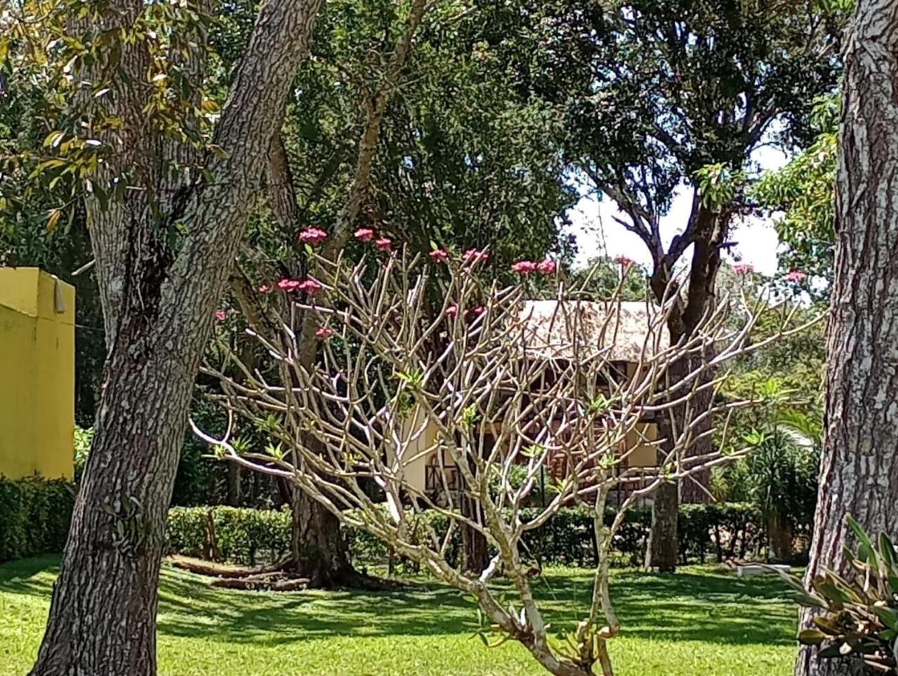 Hotel Villas Chicanna מראה חיצוני תמונה